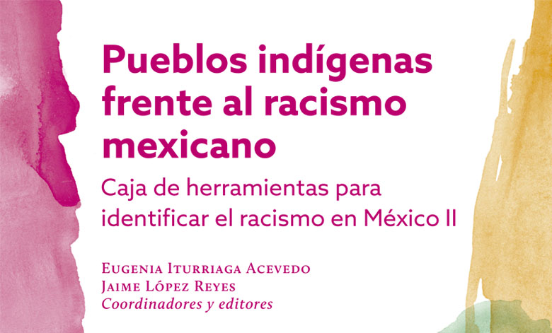 Caja de herramientas para identificar el racismo en México II